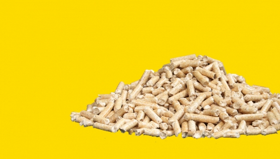 best wood PELLETS Teaser Newsletteranmeldung klein